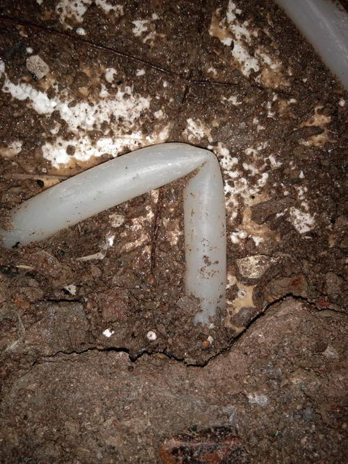 长顺堵点精准查找